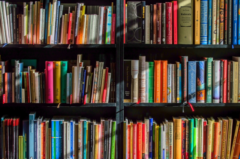 vitrine-RIANS-min_books_bookstore_book_reading_shop_writer_sale_books_read-822866