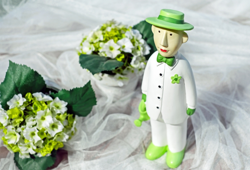 vitrine-RIANS-min_man-person-flower-green-toy-fig-546529-pxhere.com